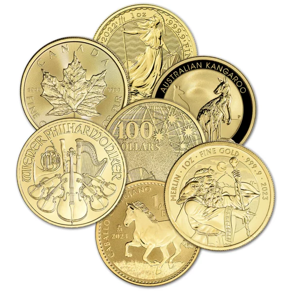 1 oz Gold Coin Misc Type