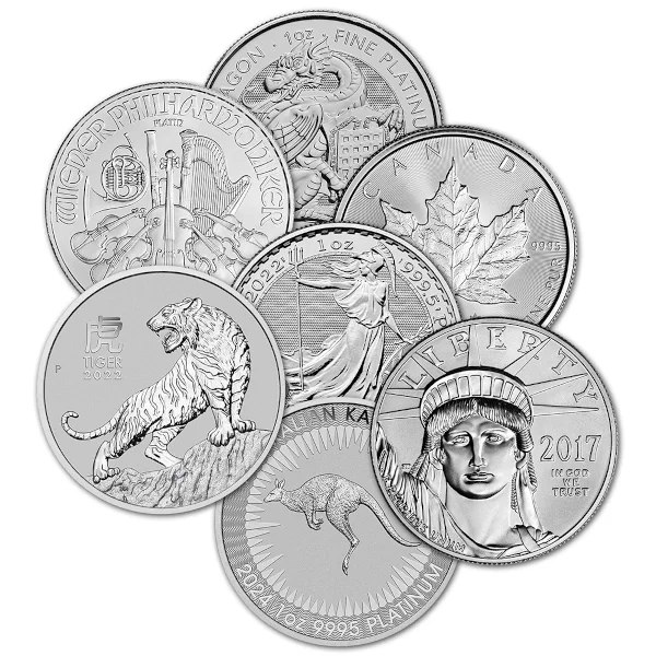 1 oz .9995 Platinum Coin Random Type